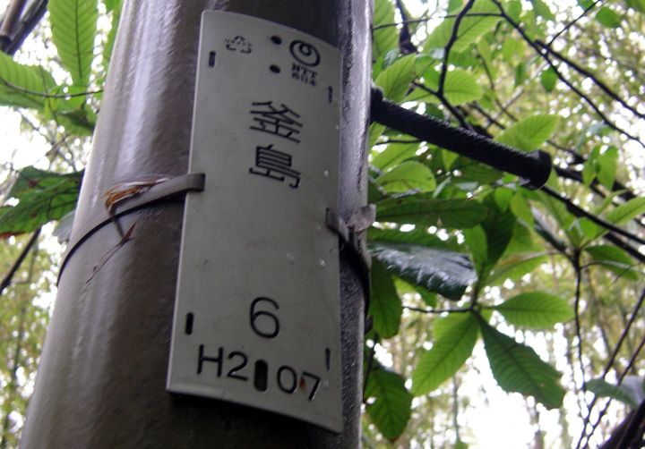 釜島の電柱